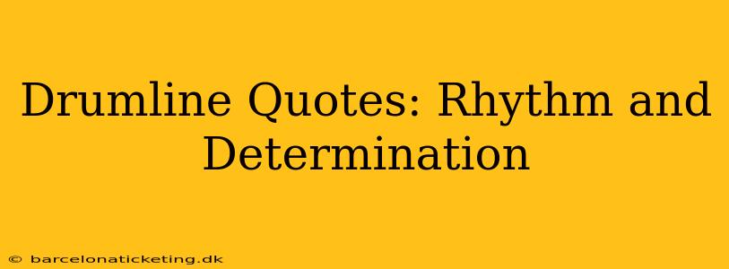 Drumline Quotes: Rhythm and Determination