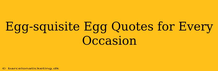 Egg-squisite Egg Quotes for Every Occasion