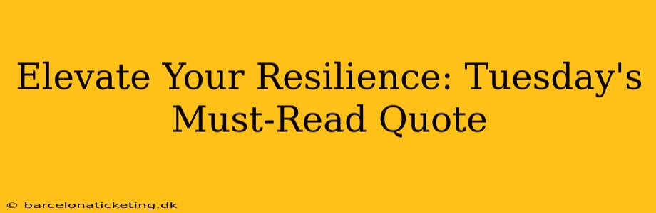 Elevate Your Resilience: Tuesday's Must-Read Quote