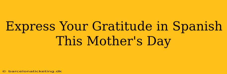 Express Your Gratitude in Spanish This Mother's Day