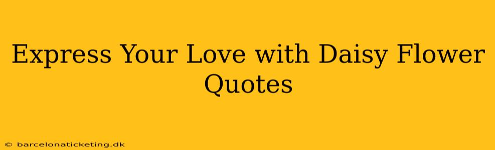 Express Your Love with Daisy Flower Quotes