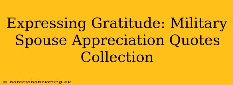 Expressing Gratitude: Military Spouse Appreciation Quotes Collection
