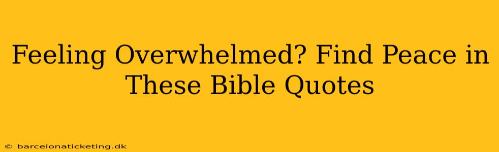 Feeling Overwhelmed? Find Peace in These Bible Quotes