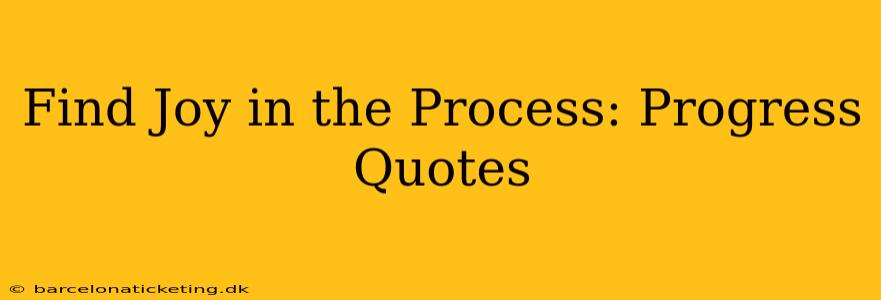 Find Joy in the Process: Progress Quotes