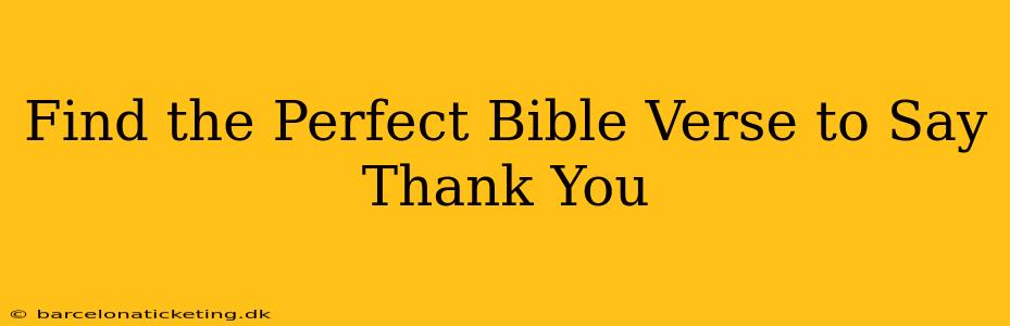 Find the Perfect Bible Verse to Say Thank You