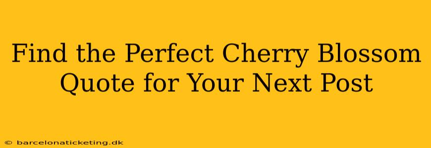 Find the Perfect Cherry Blossom Quote for Your Next Post