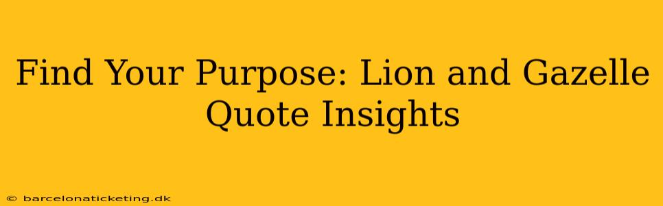 Find Your Purpose: Lion and Gazelle Quote Insights
