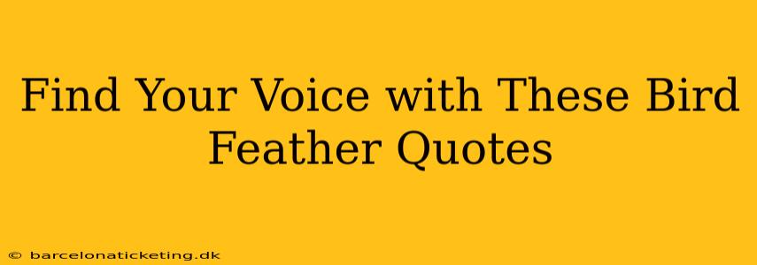 Find Your Voice with These Bird Feather Quotes