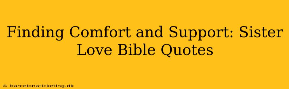 Finding Comfort and Support: Sister Love Bible Quotes