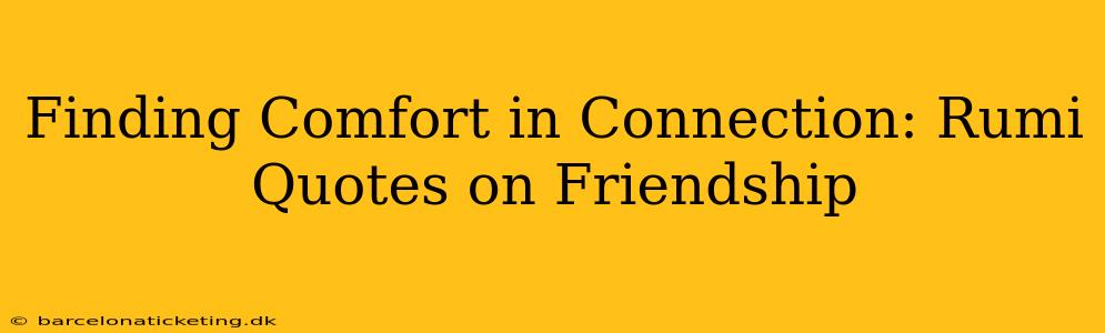 Finding Comfort in Connection: Rumi Quotes on Friendship