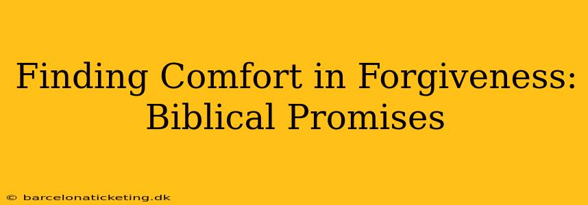 Finding Comfort in Forgiveness: Biblical Promises