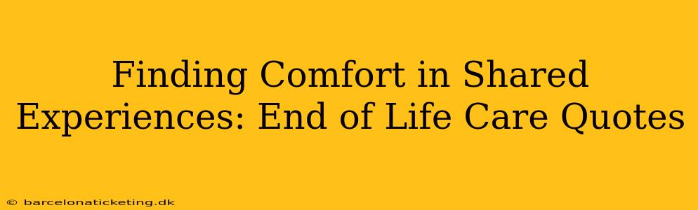 Finding Comfort in Shared Experiences: End of Life Care Quotes