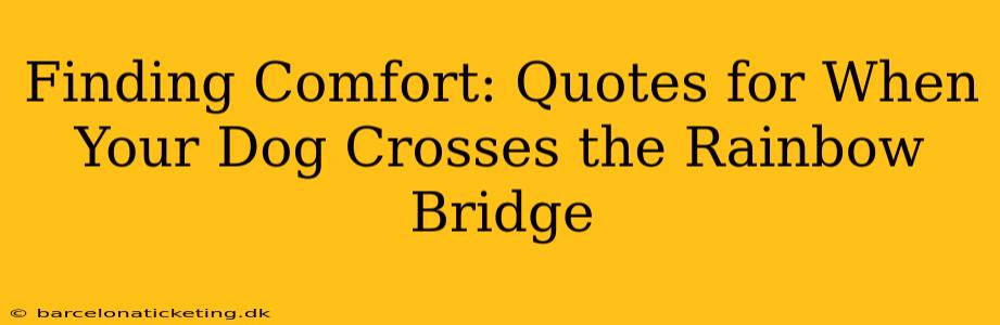 Finding Comfort: Quotes for When Your Dog Crosses the Rainbow Bridge