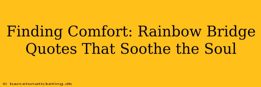 Finding Comfort: Rainbow Bridge Quotes That Soothe the Soul