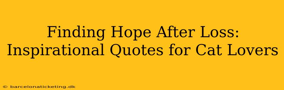 Finding Hope After Loss: Inspirational Quotes for Cat Lovers