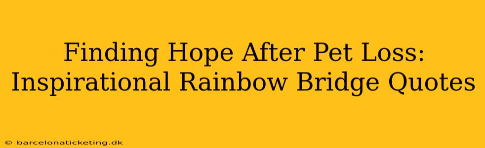Finding Hope After Pet Loss: Inspirational Rainbow Bridge Quotes