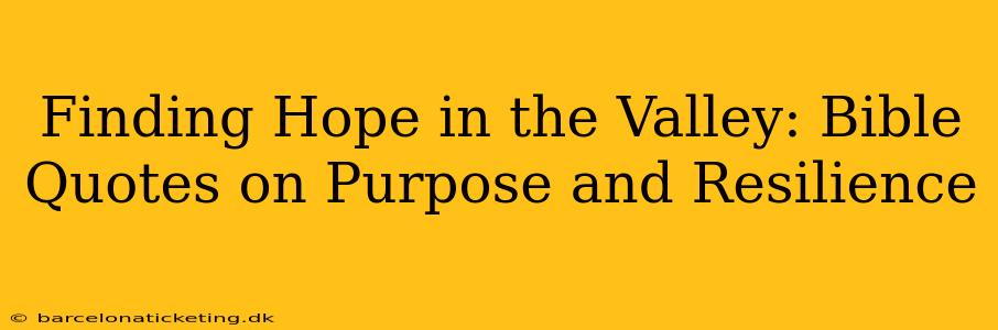 Finding Hope in the Valley: Bible Quotes on Purpose and Resilience