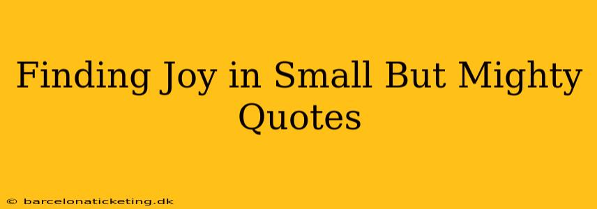 Finding Joy in Small But Mighty Quotes