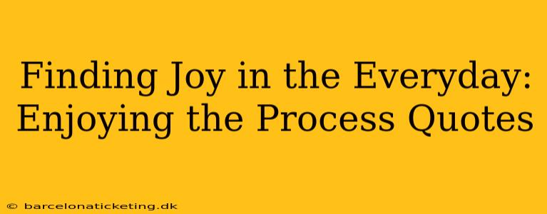 Finding Joy in the Everyday: Enjoying the Process Quotes