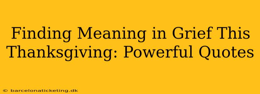 Finding Meaning in Grief This Thanksgiving: Powerful Quotes