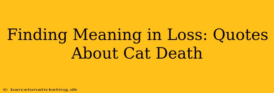 Finding Meaning in Loss: Quotes About Cat Death