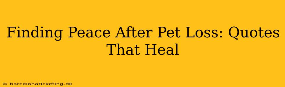 Finding Peace After Pet Loss: Quotes That Heal