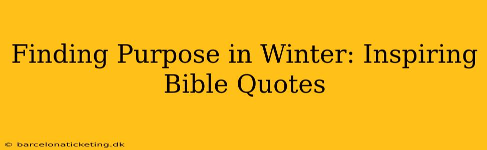 Finding Purpose in Winter: Inspiring Bible Quotes