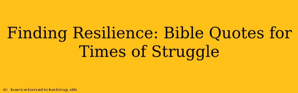 Finding Resilience: Bible Quotes for Times of Struggle