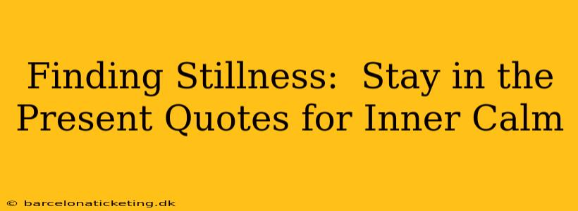 Finding Stillness:  Stay in the Present Quotes for Inner Calm