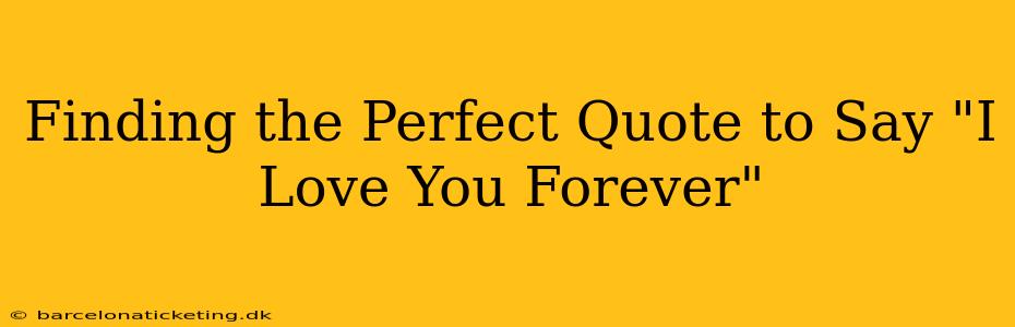 Finding the Perfect Quote to Say "I Love You Forever"