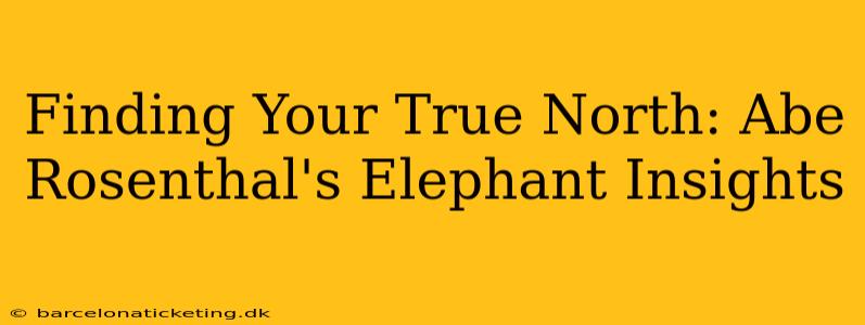 Finding Your True North: Abe Rosenthal's Elephant Insights