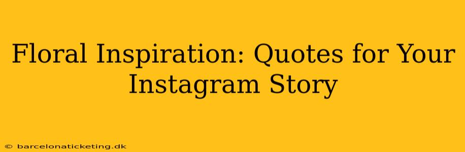 Floral Inspiration: Quotes for Your Instagram Story