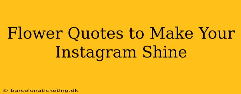 Flower Quotes to Make Your Instagram Shine