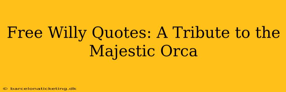 Free Willy Quotes: A Tribute to the Majestic Orca