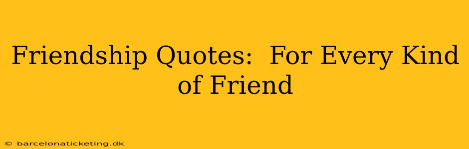 Friendship Quotes:  For Every Kind of Friend