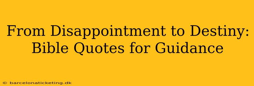 From Disappointment to Destiny: Bible Quotes for Guidance
