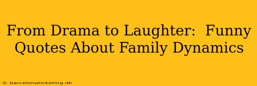 From Drama to Laughter:  Funny Quotes About Family Dynamics