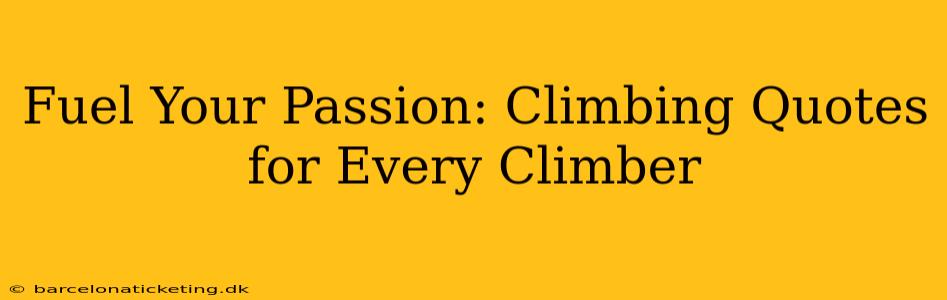 Fuel Your Passion: Climbing Quotes for Every Climber