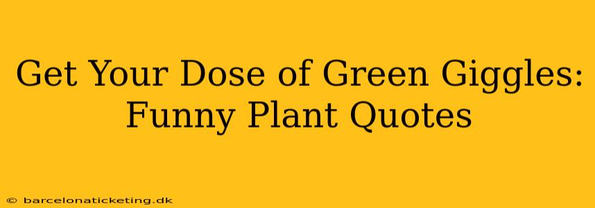 Get Your Dose of Green Giggles: Funny Plant Quotes