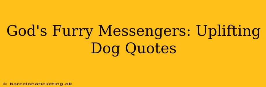 God's Furry Messengers: Uplifting Dog Quotes