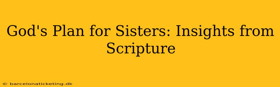 God's Plan for Sisters: Insights from Scripture