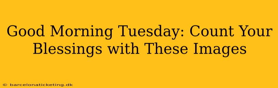 Good Morning Tuesday: Count Your Blessings with These Images