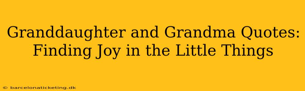 Granddaughter and Grandma Quotes: Finding Joy in the Little Things