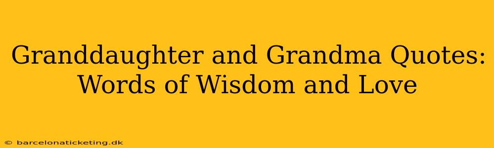 Granddaughter and Grandma Quotes: Words of Wisdom and Love