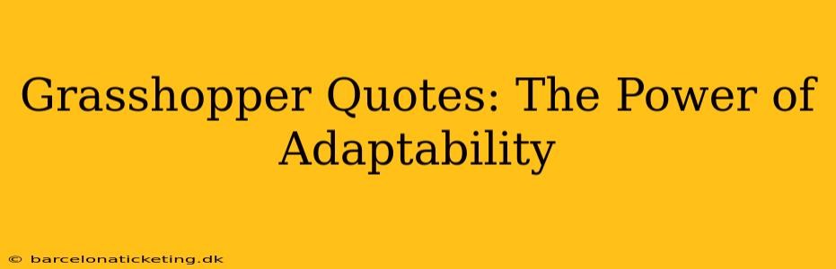 Grasshopper Quotes: The Power of Adaptability