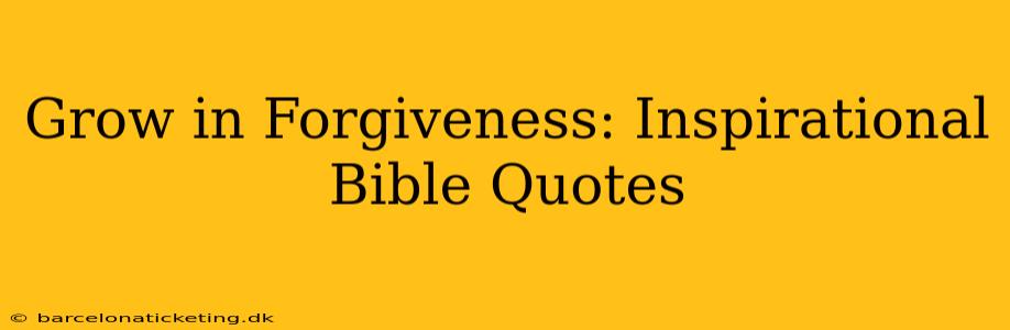 Grow in Forgiveness: Inspirational Bible Quotes