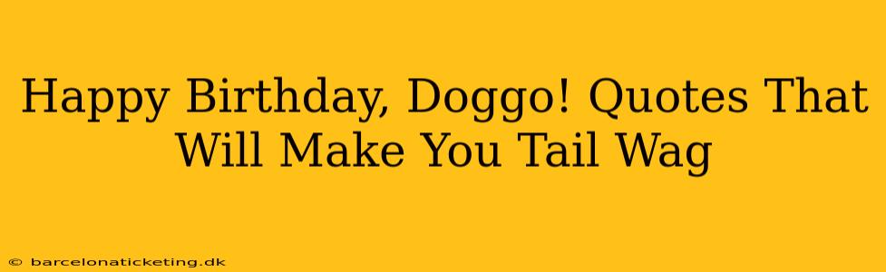 Happy Birthday, Doggo! Quotes That Will Make You Tail Wag