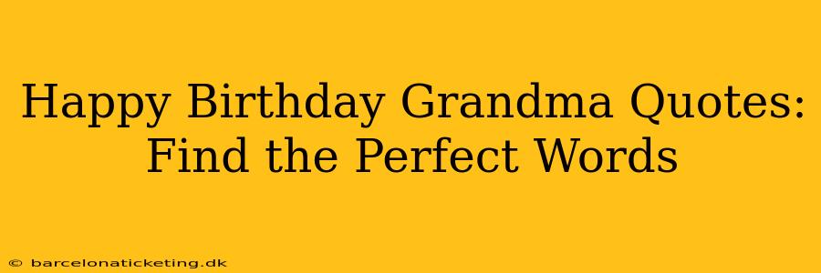 Happy Birthday Grandma Quotes: Find the Perfect Words