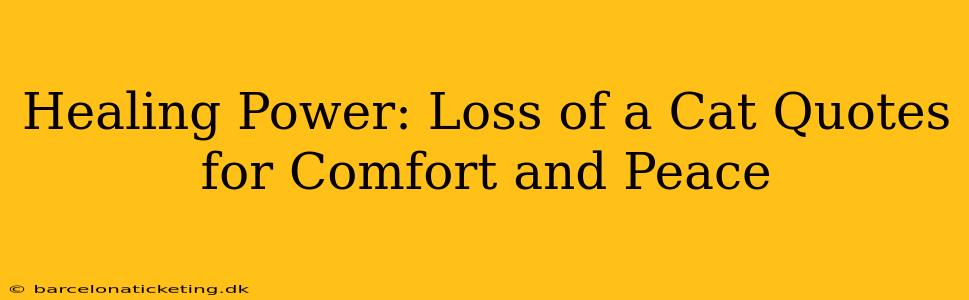 Healing Power: Loss of a Cat Quotes for Comfort and Peace