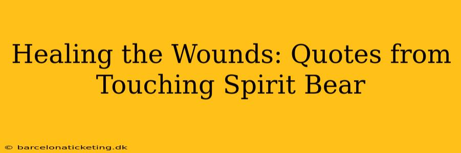 Healing the Wounds: Quotes from Touching Spirit Bear